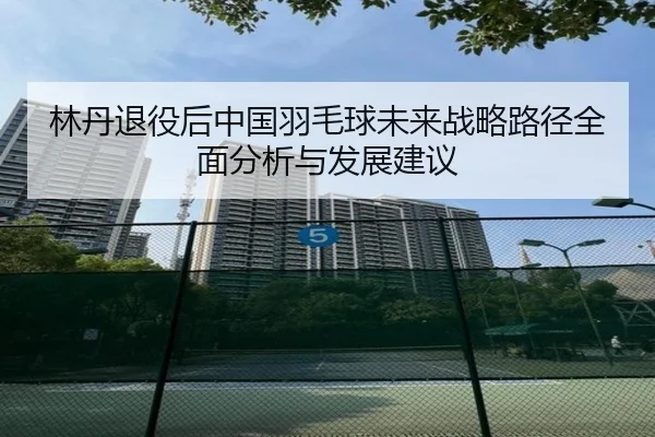 林丹退役后中国羽毛球未来战略路径全面分析与发展建议