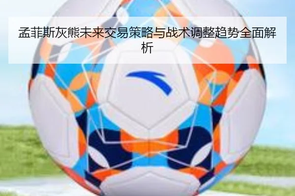 孟菲斯灰熊未来交易策略与战术调整趋势全面解析